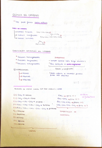 Quimica-del-carbono.pdf