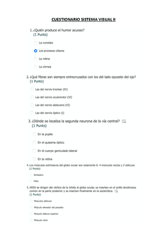CUESTIONARIO-SISTEMA-VISUAL-II.pdf