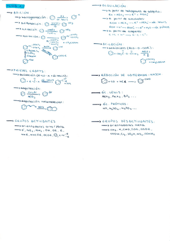 reacciones-t.1-t.6.pdf