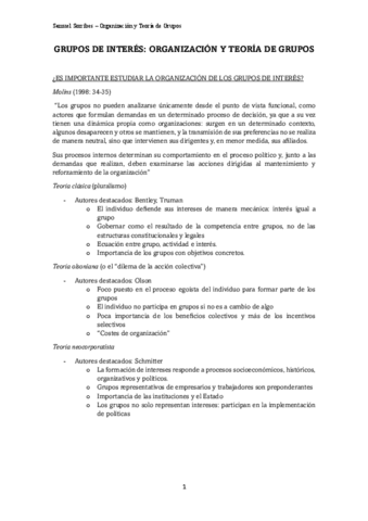 grupos-de-interes.-organizacion-y-teoria-de-grupos.pdf