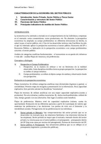 caracterizacion-de-la-economia-del-sector-publico.pdf