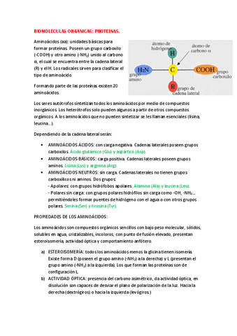 Biomoleculas-organicas-Proteinas.pdf