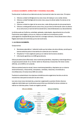 La-celula-eucariota.-Estructura-y-funciones-celulares..pdf