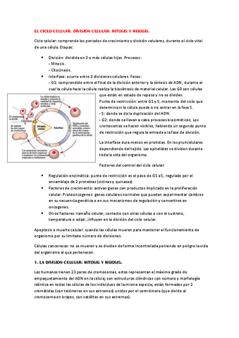 El-ciclo-celular.-Division-celular-mitosis-y-meiosis.pdf