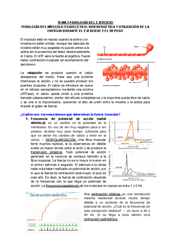 APUNTES-FISIOLOGIA-DEL-EJERCICIO.docx.pdf
