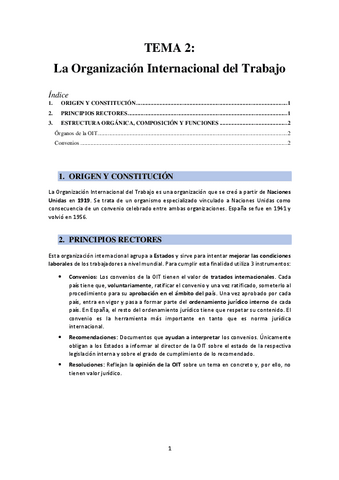 TEMA-2-Organizacion-Internacional-del-Trabajo.pdf