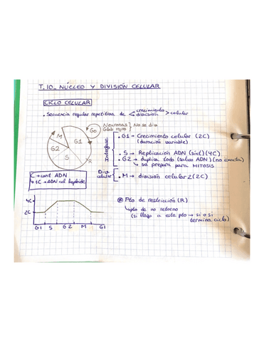 T10.-NUCLEO-Y-DIVISION-CELULAR.pdf