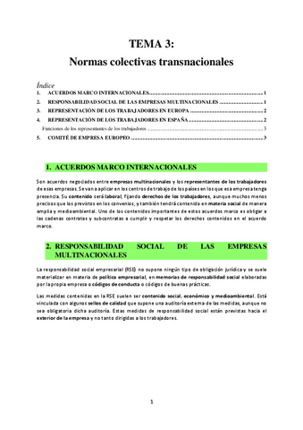 TEMA-3-Normas-colectivas-internacionales.pdf