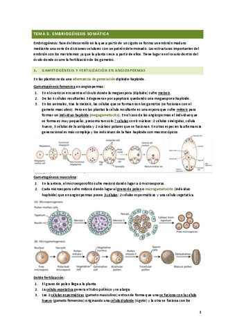 Tema-3.-Embriogenesis-somatica.pdf