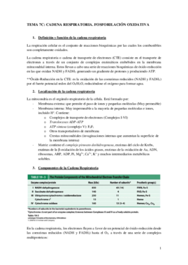 TEMA 7C.pdf