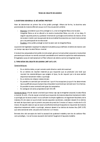 TEMA-20.pdf