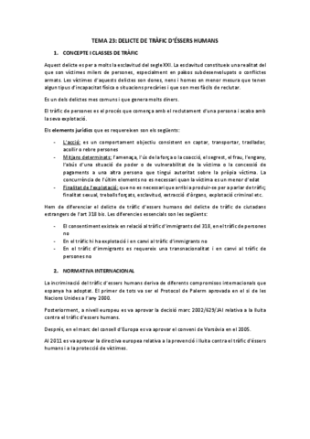 TEMA-23.pdf