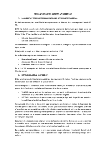 TEMA-24.pdf