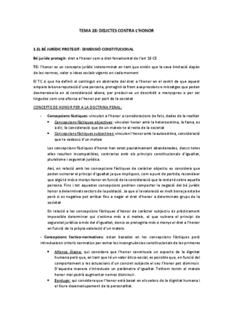 TEMA-28.pdf