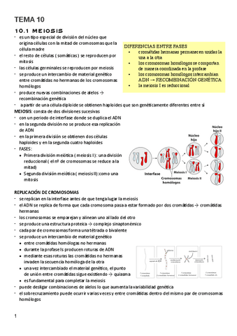 T.10-Genetica-y-evolucion.pdf