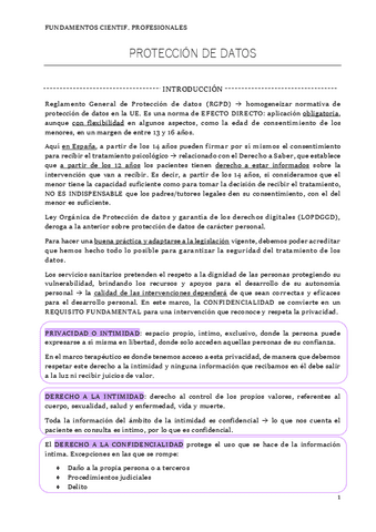 proteccion-de-datos.pdf