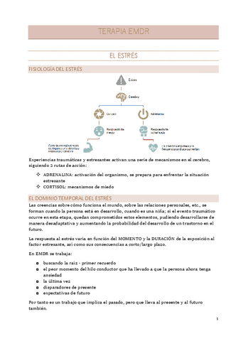 apuntesTERAPIA-EMDR.pdf