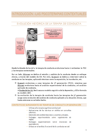 apuntesINTRODUCCION.pdf