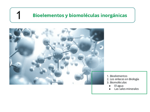 T.1-Bioelemento.pdf