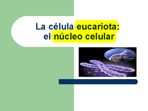 Tema-9.-Nucleo-celular-copia.pdf