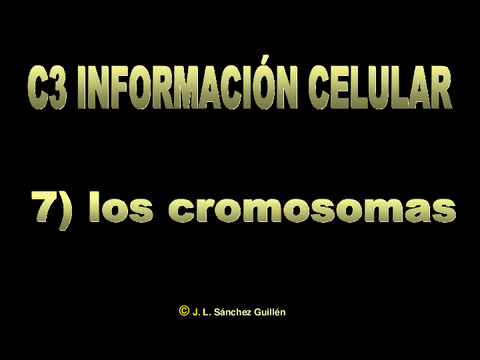 Cromosomas-copia.pdf