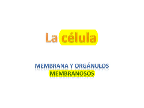 Tema-6-y-8.-Membrana-y-organulos-membranosos.pdf