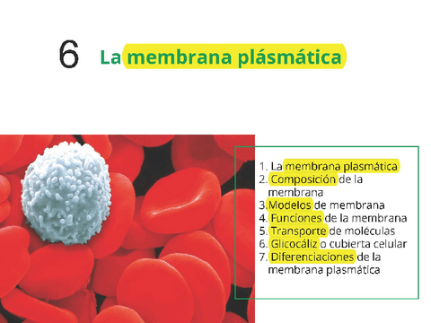 6-Membrana-plasmatica.pdf