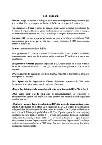 T.16-Herencia.pdf