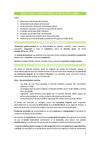 Tema-3-politica.pdf