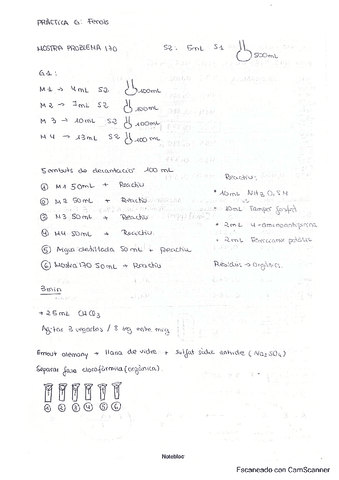 Practica-G-llibreta.pdf