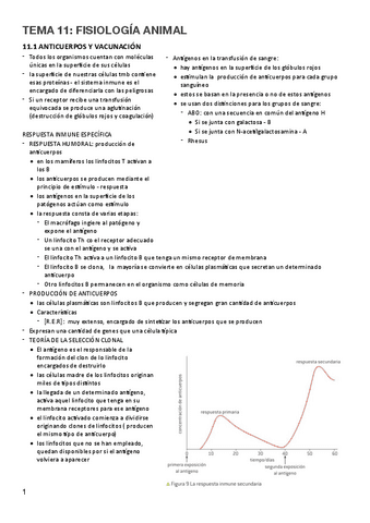 T.11-Fisiologia-animal.pdf
