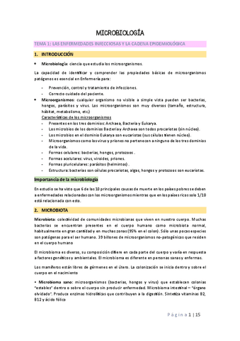 TEMA-1-MICRO.pdf