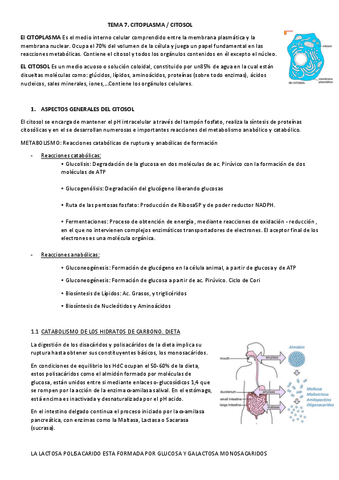 TEMA-7-PROCESOS.pdf