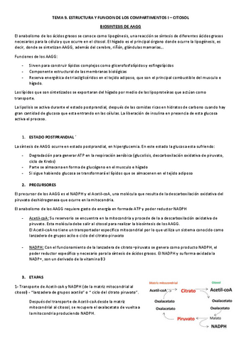 TEMA-9.-PROCESOS.pdf