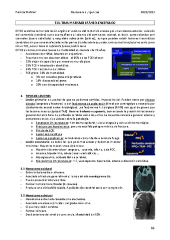 T13.-Traumatismo-craneo-encefalico.pdf