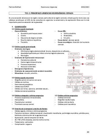 T15.3.Cefalea--Seminario.pdf