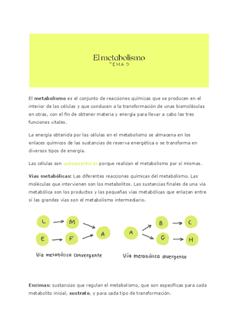Bio-T9.-METABOLISMO.pdf