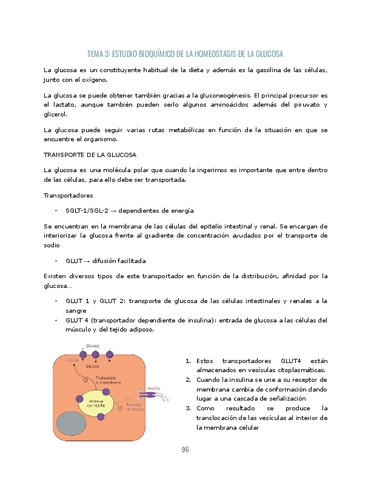 TEMA-3-BLOQUE3.pdf