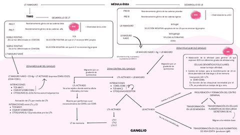 LB-Y-LT-ESQUEMA.pdf