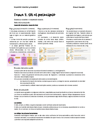 Desarrollo-cognitivo-tema-3.pdf