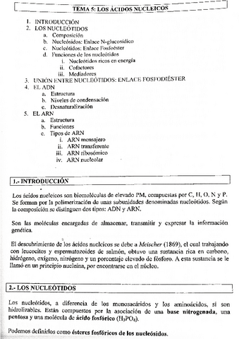 Los-Acidos-Nucleicos-tema-5.pdf