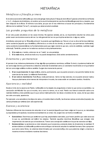 METAFISICA.pdf