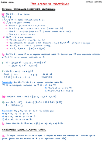 TEMA-1.-ESPACIOS-VECTORIALES.pdf