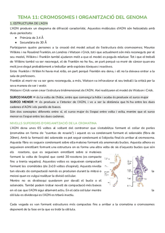 SEGUNDO-PARCIAL-BIOLOGIA.pdf
