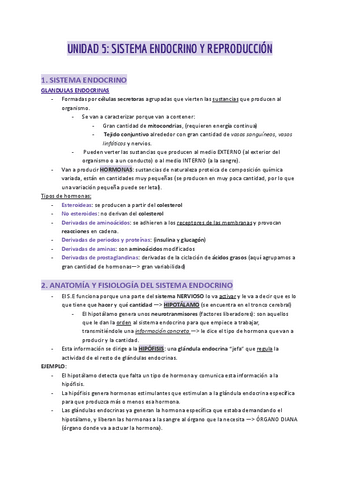 Sistema-endocrino-y-reproduccion.pdf