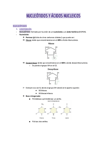 Nucleotidos-y-acidos-nucleicos.pdf