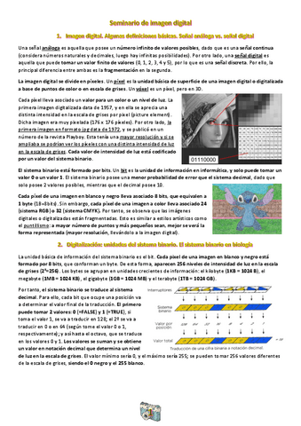 S1.-Imagen-digital.pdf