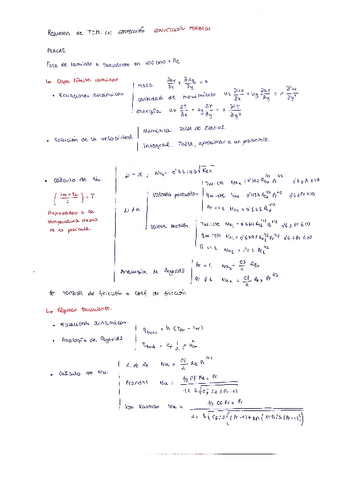 Resumen-conveccion2.pdf