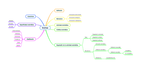 Enzimas-esquema-selectividad.pdf