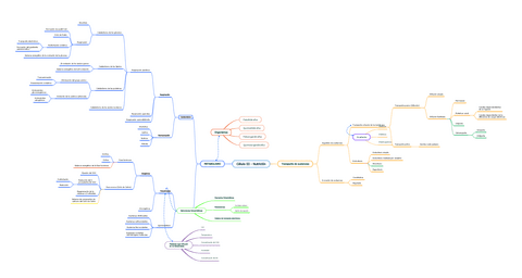 Celula-III-Nutricion-esquema-selectividad.pdf